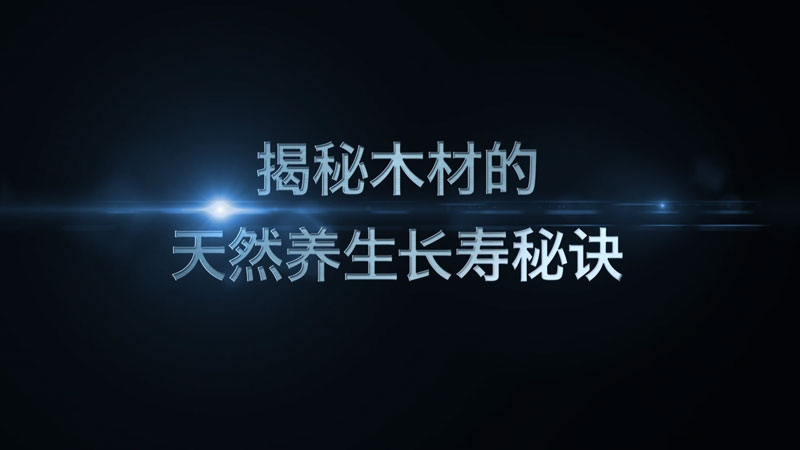 owl-carousel-video-images